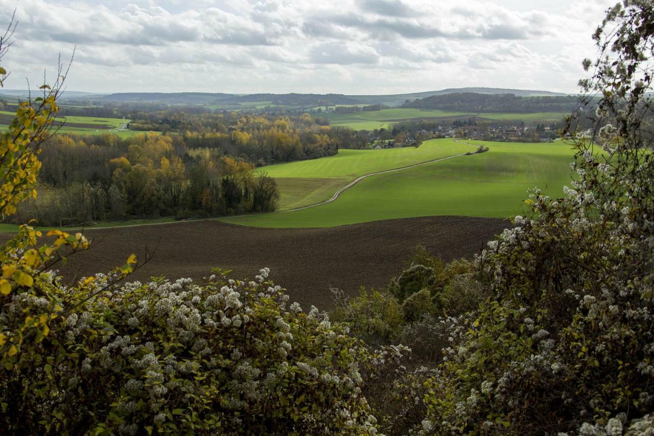 Le Lodge Des Bruyeres Mont-Notre-Dame Luaran gambar